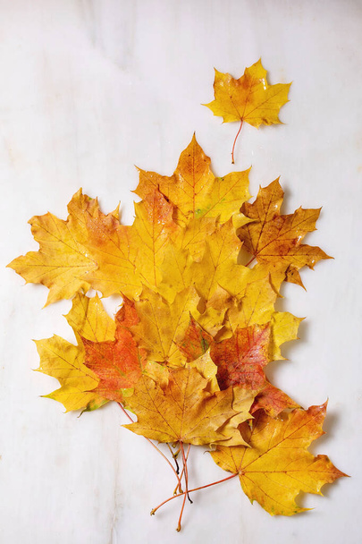 Red and yellow autumn maple leaves over white marble background. Flat lay. Fall creative background. - Photo, image