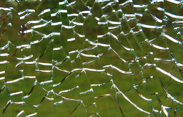 ragnatele di vetro rotto su uno sfondo di erba verde primo piano
 - Foto, immagini
