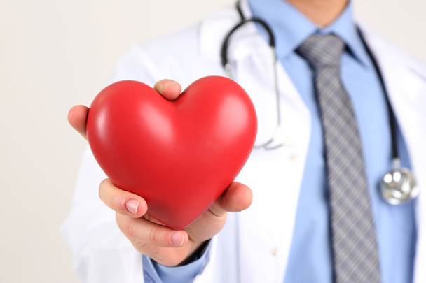 Doctor masculino con el corazón rojo en las manos, aislado sobre fondo blanco
 - Foto, Imagen