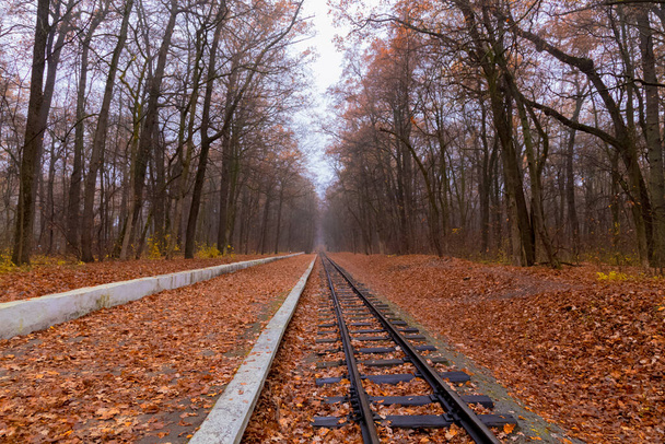 Ferrocarril de una sola vía a través del bosque en otoño. Paisaje otoño
 . - Foto, Imagen