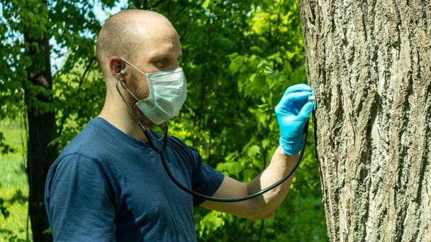 a man in nature with a stethoscope listens to trees - Photo, Image