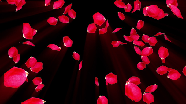 Pétalos de rosa cayendo de arriba a abajo, generados por computadora. Lluvia de pétalos. 3d representación de fondo romántico - Foto, imagen