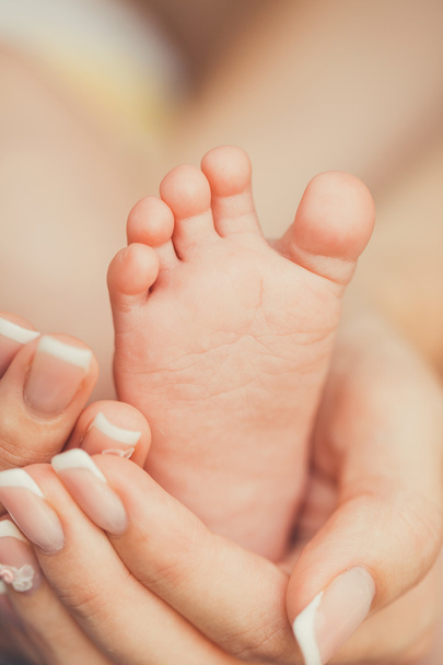 Baby hands and feet and hands Mom - 写真・画像