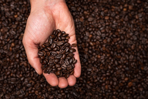 Fresh roasted coffee beans in hands from above. Coffee themed background - Foto, Imagem
