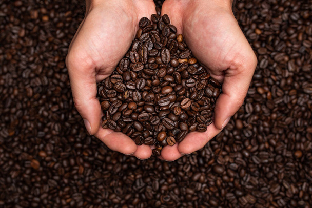 Fresh roasted coffee beans in hands from above. Coffee themed background - Photo, Image