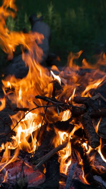 hoguera ardiente en el bosque de verano
 - Foto, Imagen