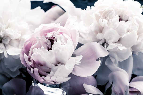 Цветы пастельных пионов как фон для цветочного искусства, ботаническая плоскость и роскошный брендинг
 - Фото, изображение