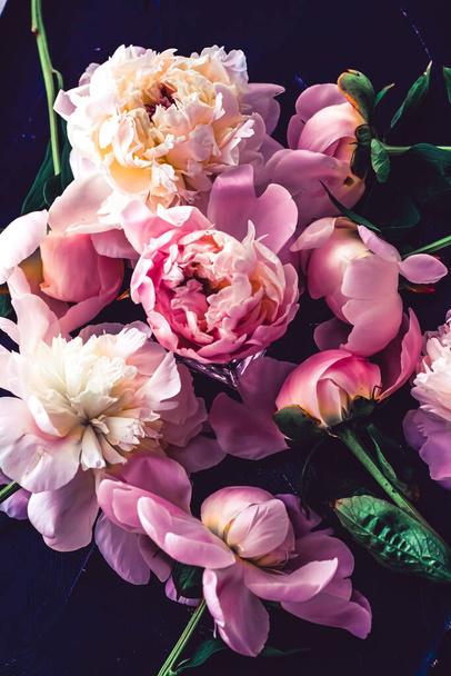 Rosa Pfingstrosenblüten als floraler Kunsthintergrund, botanische Flatlay und Luxus-Branding - Foto, Bild