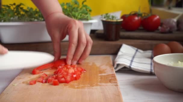 Person cutting fresh ripe tomato to cook a dish - Πλάνα, βίντεο