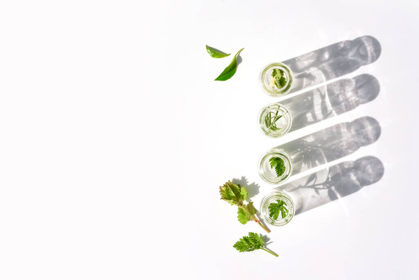Lääketieteelliset yrtit ja kasvit laboratoriolasipulloissa valkoisella taustalla - Valokuva, kuva
