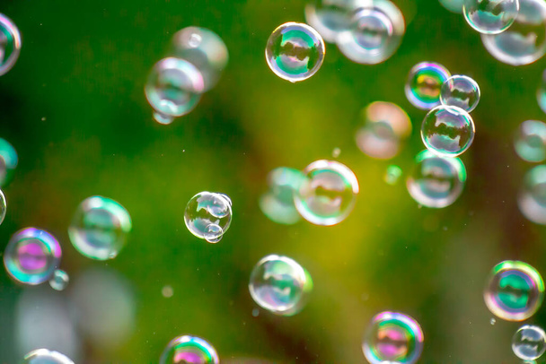Soap bubbles in nature as a background blur - Photo, Image