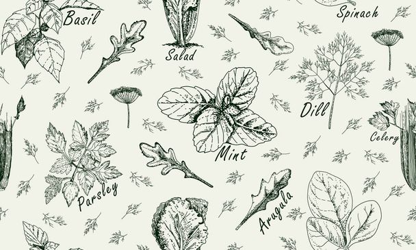 Vintage seamless pattern with popular herbs in cooking. - Вектор,изображение