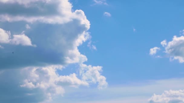 Large and voluminous white fluffy clouds floating in the blue sky - Footage, Video