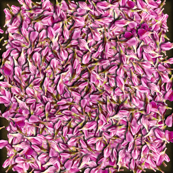 Pink flower bud háttér - Fotó, kép