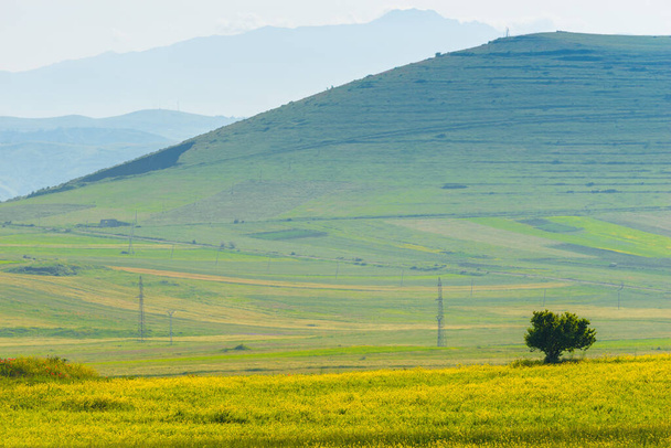 Hoge groene heuvel bedekt met weelderig gras, weide in de bergen van Armenië - Foto, afbeelding
