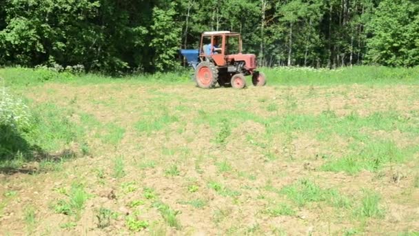 трактор насіння сіяти поля - Кадри, відео