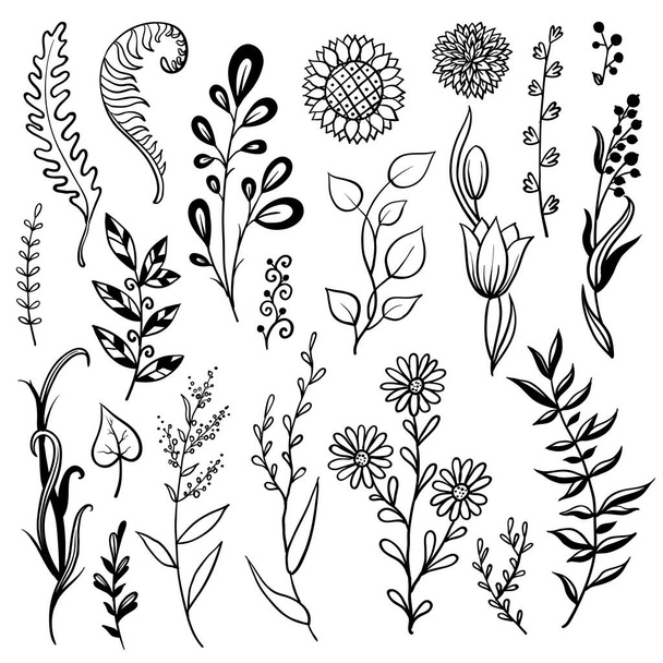 Collection of hand drawn flowers and plants. Monochrome vector illustrations in sketch style. - ベクター画像