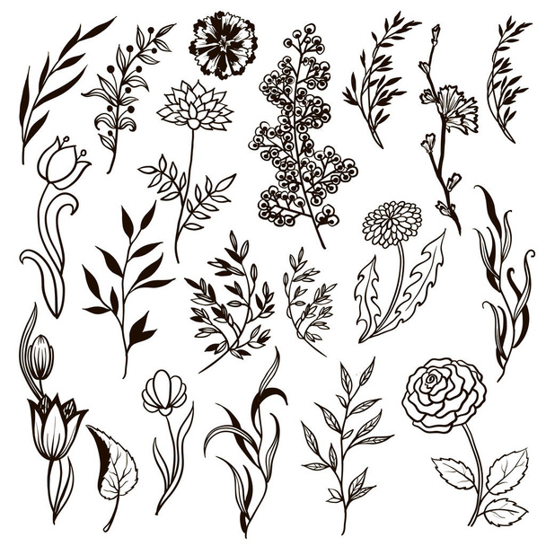 Collection of hand drawn flowers and plants. Monochrome vector illustrations in sketch style. - Vektor, Bild