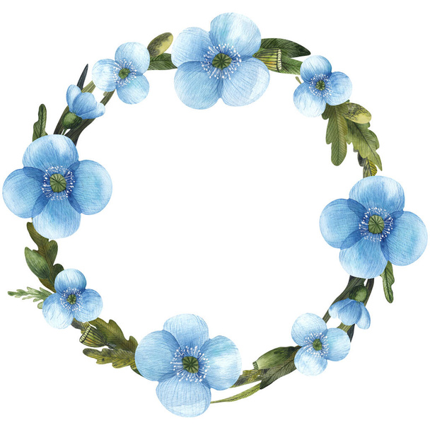 Wreath of watercolor blue poppies and green leaves isolated on white background. Delicate garland with wildflowers is perfect for greeting cards, invitations, posters. - Foto, imagen