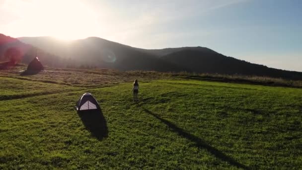 Légi drón kilátás fiatal boldog nő fut végig fű mellett sátor, hogy elbúcsúzzon a naplemente, és felemeli a kezét a háttérben a hegyi táj - Felvétel, videó