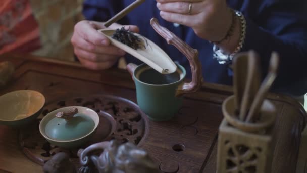 Ο άνθρωπος ρίχνει πράσινο τσάι στην τσαγιέρα στην παραδοσιακή κινεζική τελετή τσαγιού - Πλάνα, βίντεο
