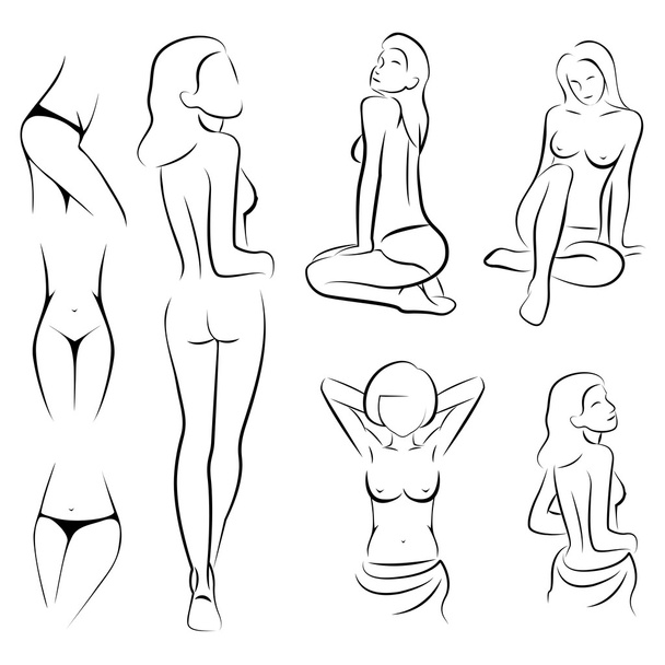 female sexy, intime, beauty body outline parts, - Vector, Image
