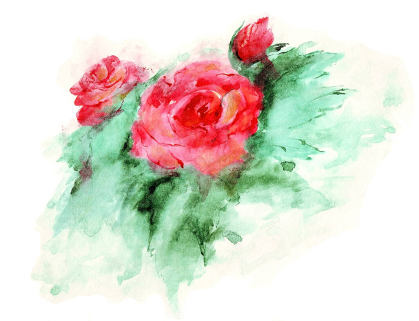 Watercolor sketch of red roses. Two flowers and a bud, green leaves. Isolated element on a white background. - 写真・画像