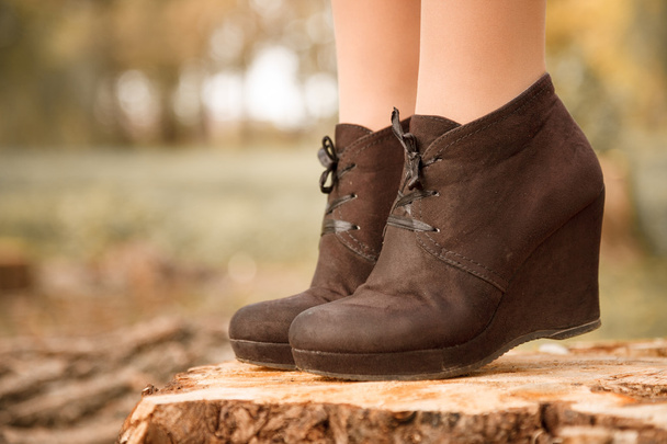 boots on stump - Photo, Image