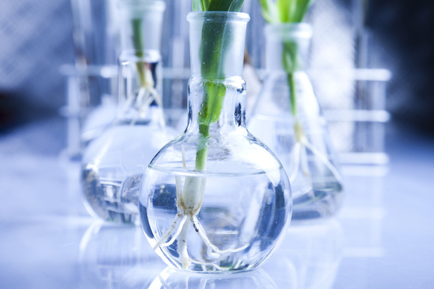 chemické laboratorní sklo zařízení, ekologie - Fotografie, Obrázek