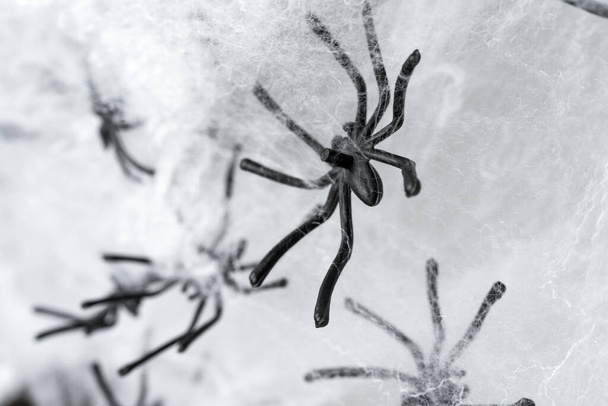 Mnoho černých malých pavouků na pavučině jako Halloween pozadí. - Fotografie, Obrázek