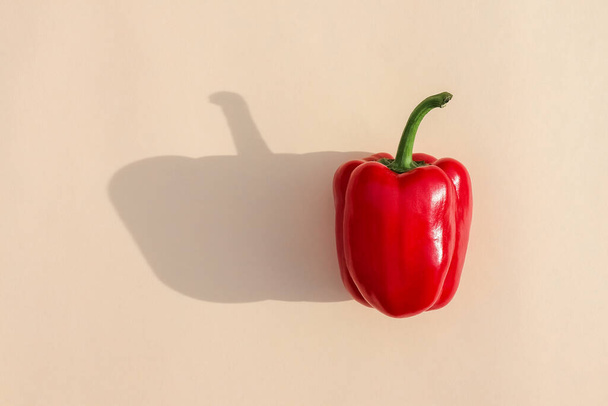 καμπάνα πιπέρι σε ένα χρωματιστό φόντο τροφίμων μοτίβο πάνω όψη - Φωτογραφία, εικόνα