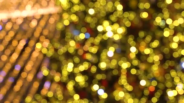 Christmas tree in the city in the evening. Garlands and night illumination, soft defocused - Footage, Video