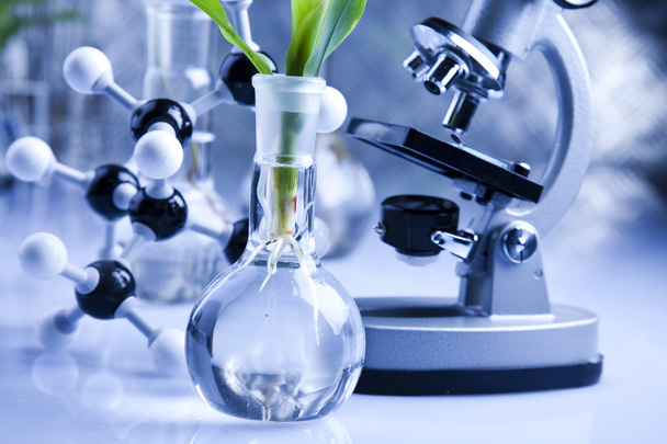 Objectos de vidro para laboratório que contenham plantas em laboratório
 - Foto, Imagem