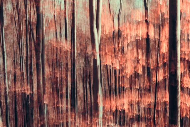 Composição florestal abstrata artística
 - Foto, Imagem