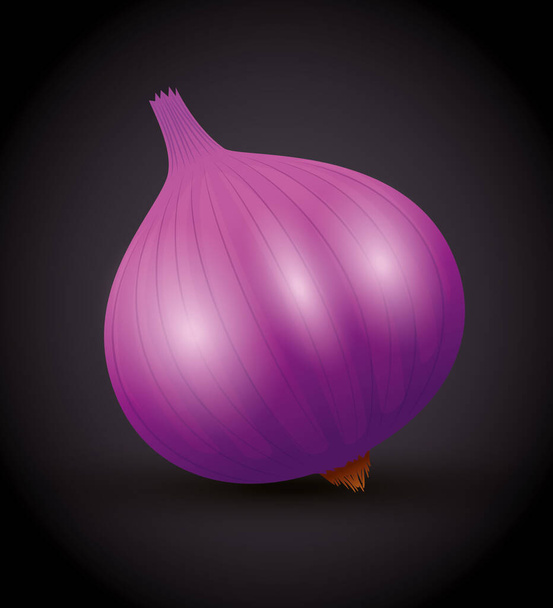 紫の玉ねぎと新鮮な有機野菜 - ベクター画像
