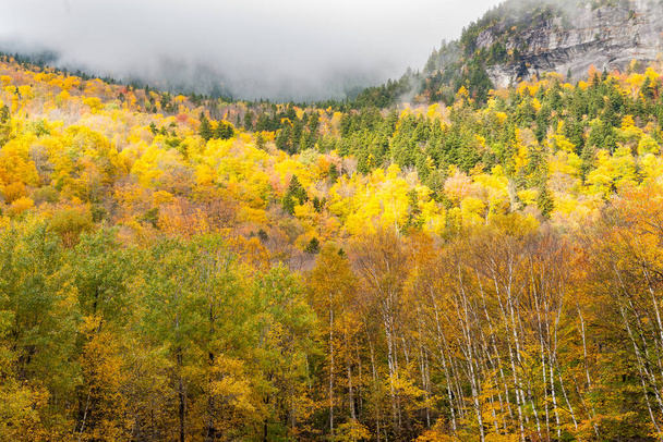 Nubes rodar en el valle de brillante bosque de color otoño bewteen altos acantilados rocosos. Maine USA, escenas de otoño
. - Foto, imagen