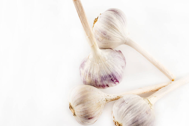 λευκή κεφαλή σκόρδου που μυρίζει έντονα λαχανικά σε απομονωμένο φόντο - Φωτογραφία, εικόνα