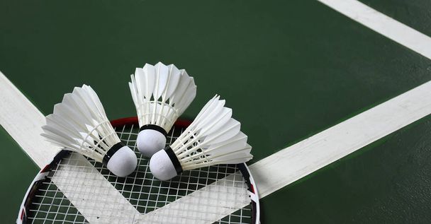 Badminton pióro promy i rakieta na badminton sąd. - Zdjęcie, obraz