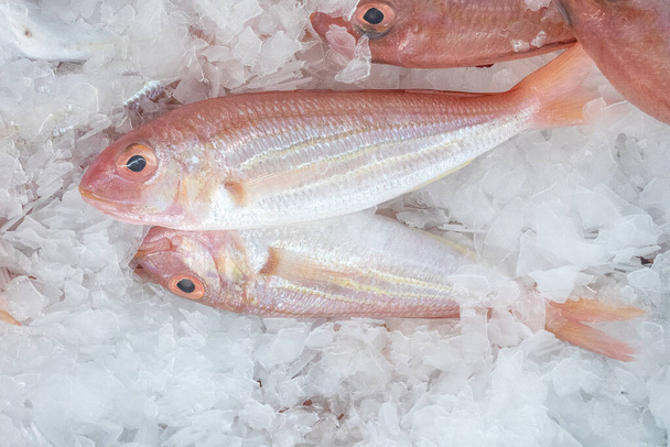 Ryby morskie na rynku świeżym - Zdjęcie, obraz
