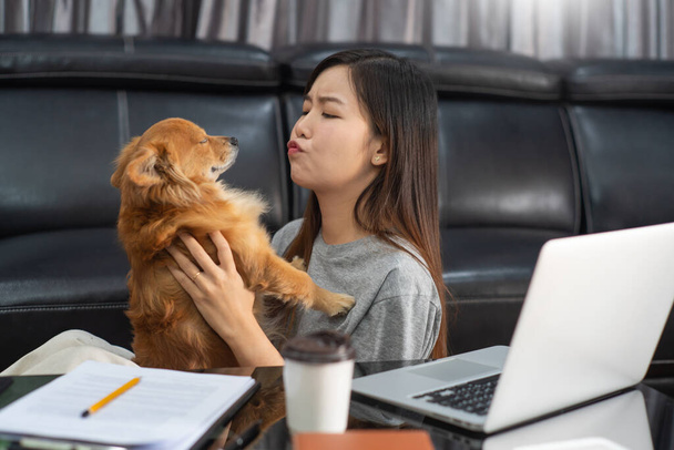 Mooie aziatische vrouw werken op afstand van huis met behulp van laptop zitten op de bank of bank in de woonkamer voor het werk online met huisdier puppy schattig hond en voogd, werk leven evenwicht concept - Foto, afbeelding