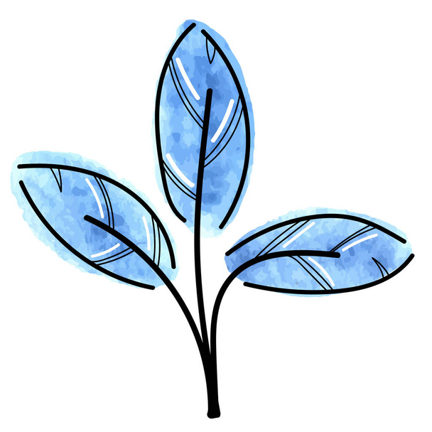 vektorový prvek, roztomilá akvarel abstraktní větev s modrými listy s černým obrysem ve skandinávském stylu, botanický prvek - Vektor, obrázek
