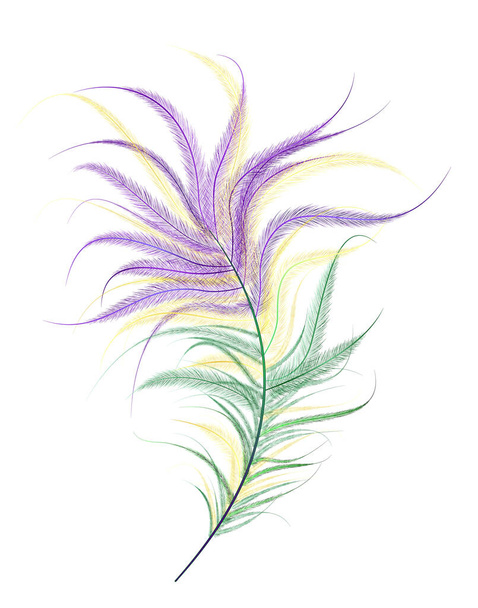 Ostrich feather painted in violet, green, yellow color on a white background. Festival Mardi Gras - Vector, imagen