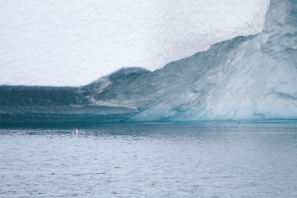 Ilulissatin jäävuori
 - Valokuva, kuva