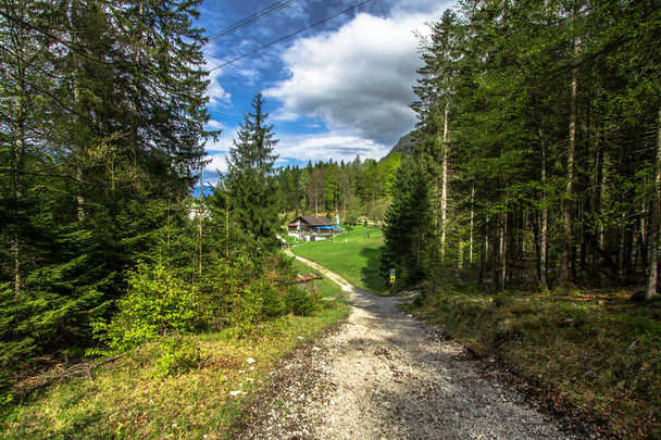 Paysage alpin - Photo, image