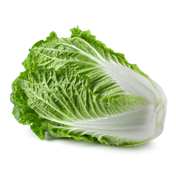 Fresh chinese cabbage isolated on a white background. - Photo, Image