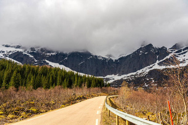 Scenic view of Norwegian landscape   - 写真・画像
