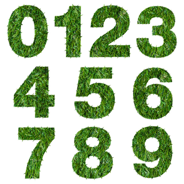 Numbers made of green grass isolated on white - Photo, Image