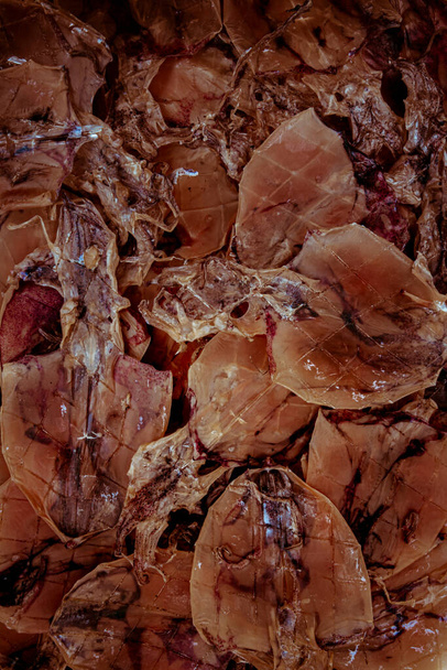 calamar abundante y nutritiva secado al sol y prensado sepia como moda asiática saludable dieta sostenible Omega-3 y un aperitivo tropical exótico en la cocina ecológica moderna mariscos. macro primer plano tiro
  - Foto, imagen