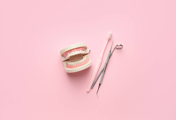 Modello di mascella con spazzolino da denti e strumenti dentali su sfondo colore
 - Foto, immagini