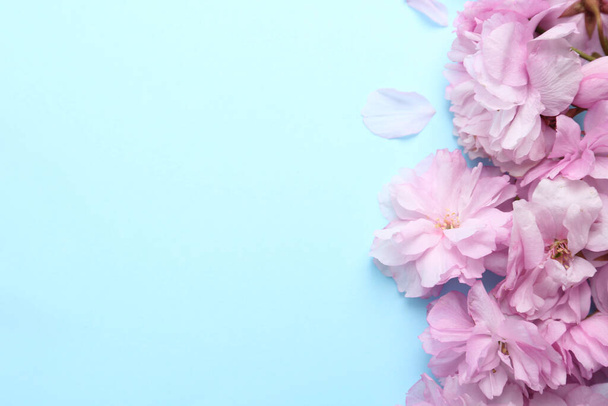 Belle fleur de sakura sur fond bleu clair, espace pour le texte. Cerise japonaise
 - Photo, image
